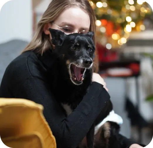 dog on a woman's knee