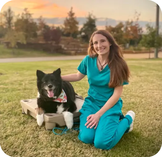 a vet professional touching her dog