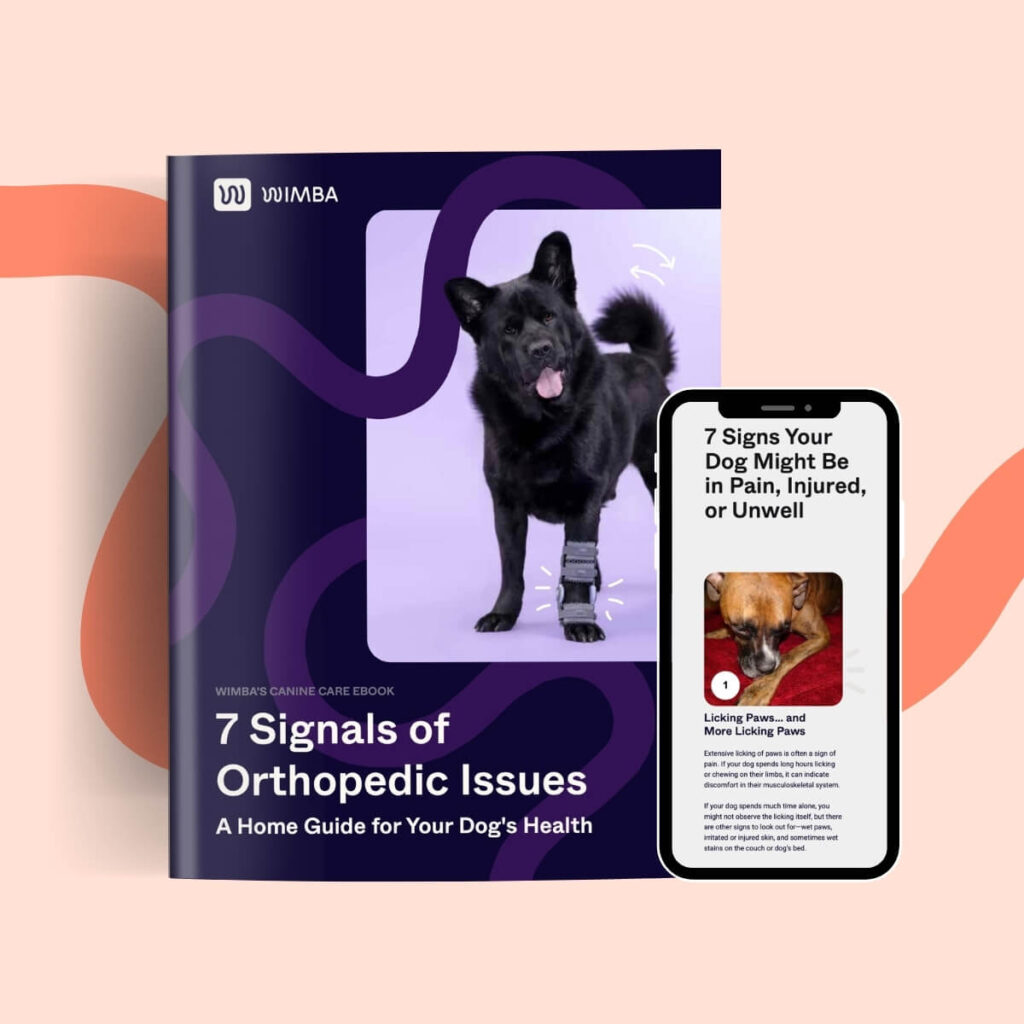 7 Signals of Orthopedic Issues