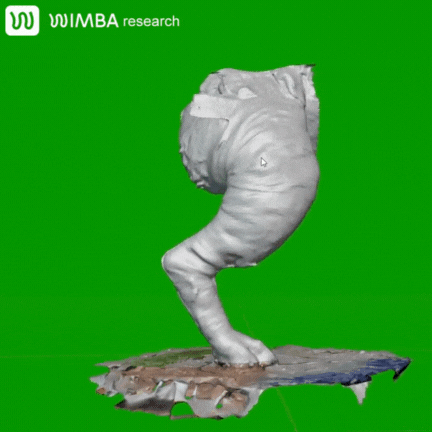 Example of Kinematic Chain demonstrated through a video of a knee alignment modification