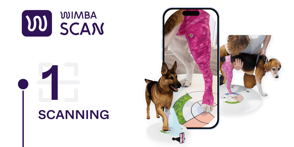 wimba scan process: step 1 SCANNING