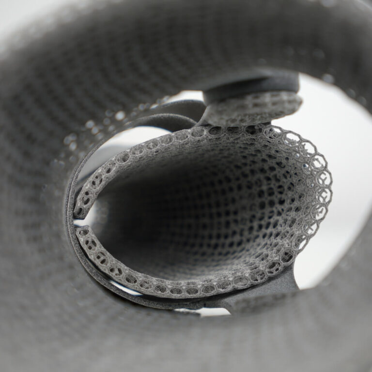 3D Printing Pet Orthotics BASF Forward AMs Ultrasint