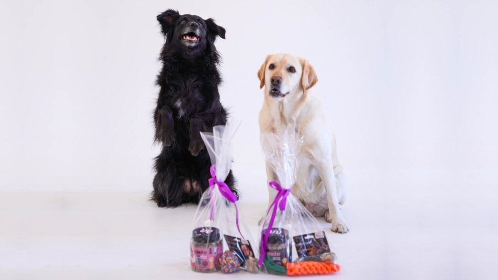 An unhealthy diet can contribute to orthopedic problems in dogs.