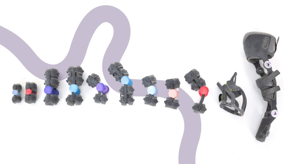 WIMBA devices, orthosis and prosthesis for dog