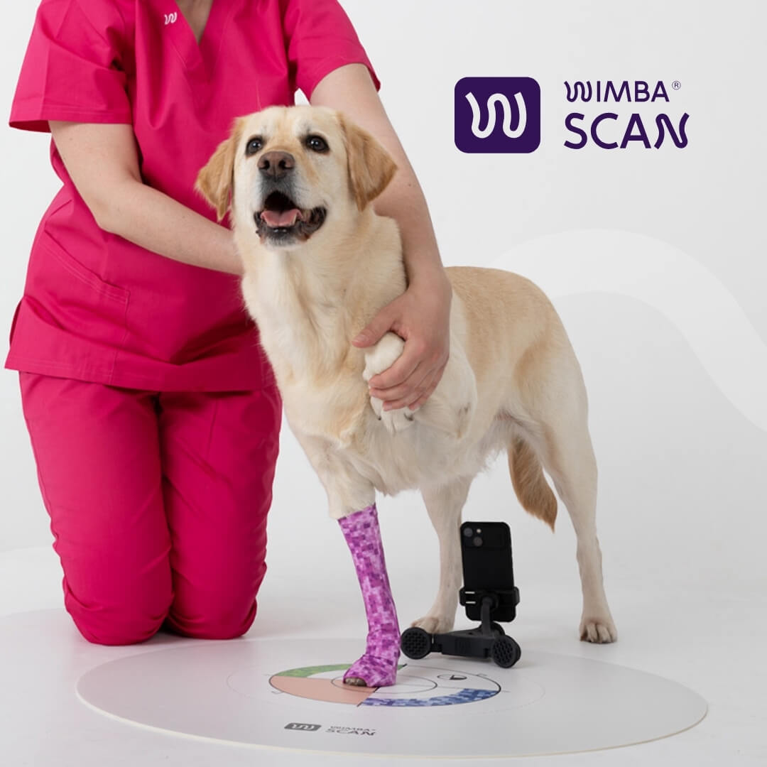 3d scanning during WimbaSCAN