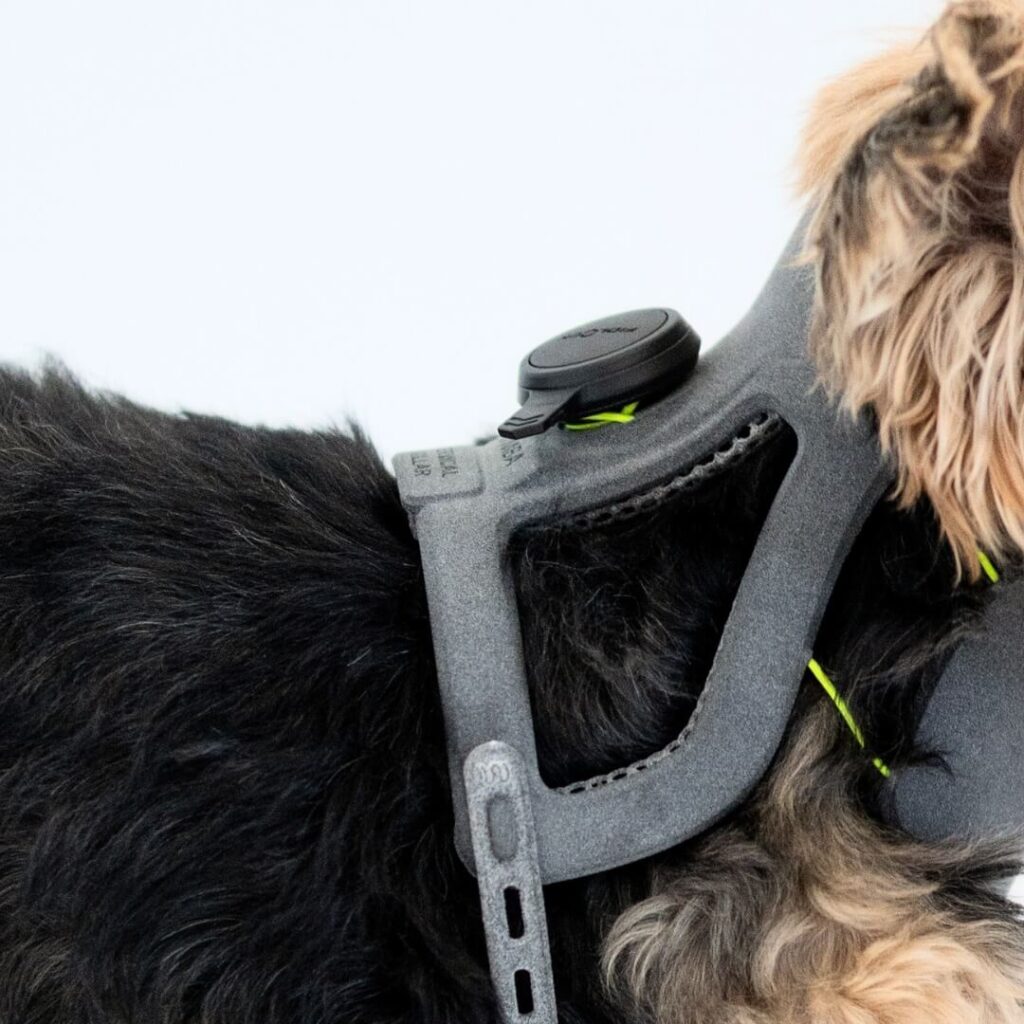 cervical collar for dogs - detail