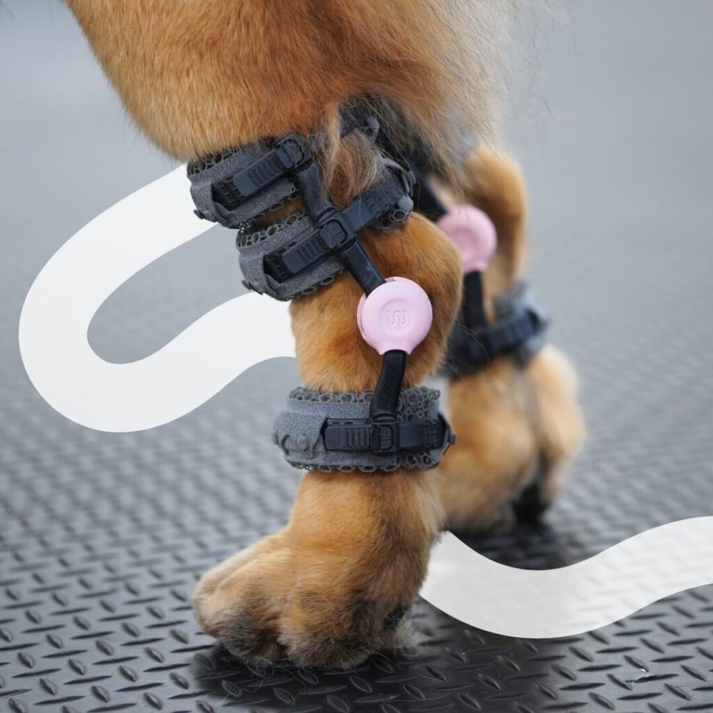 wimba tarsal orthotics