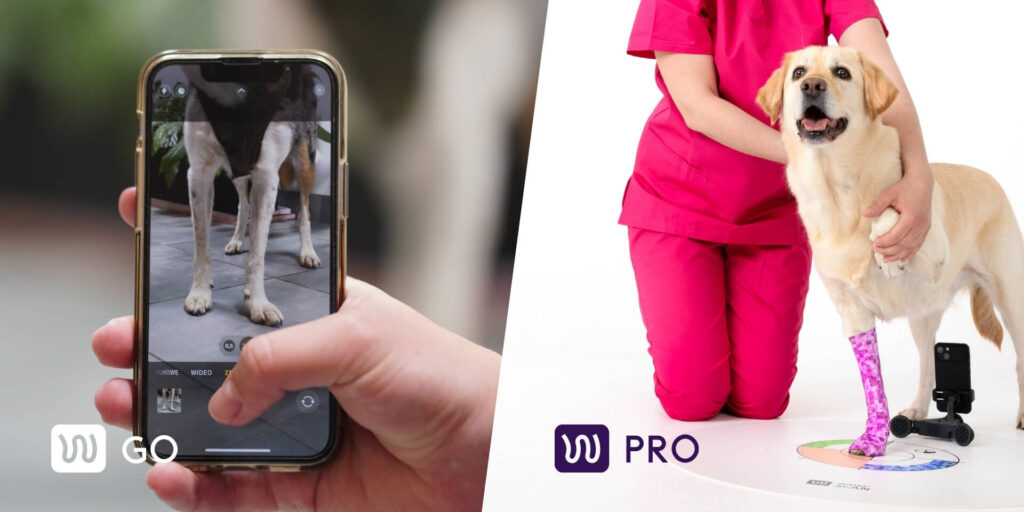 wimba Measurement Acquisition