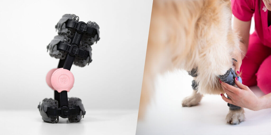 wimba fitting of the device