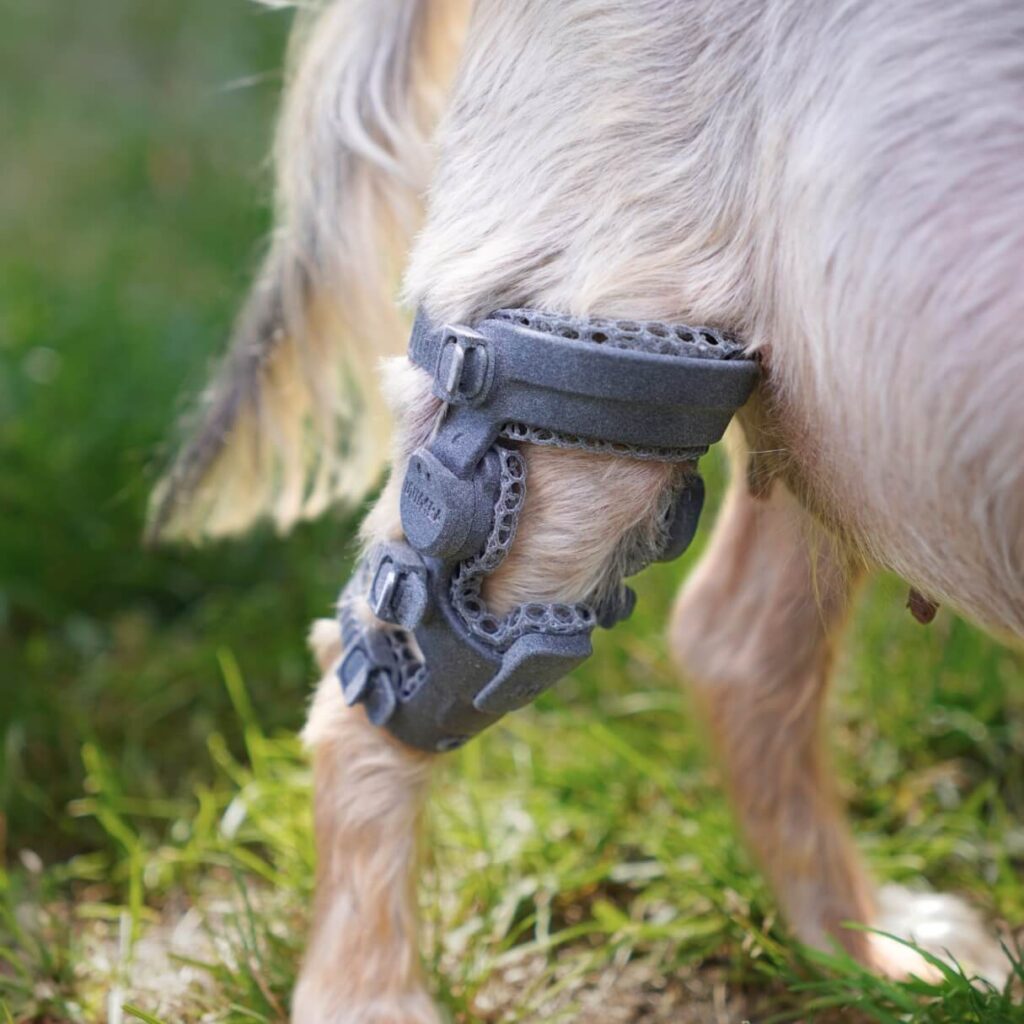 wimba stifle brace mini