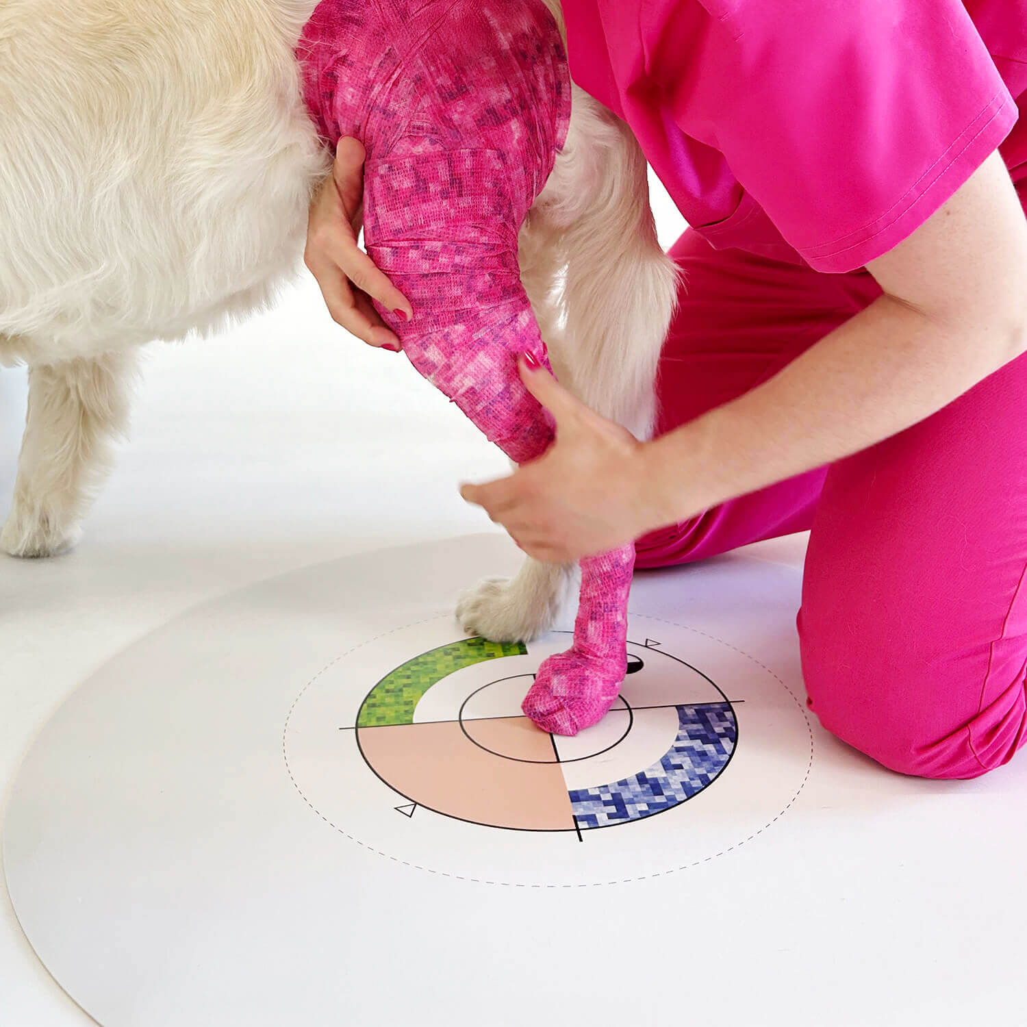 scan for wimba stifle brace pro