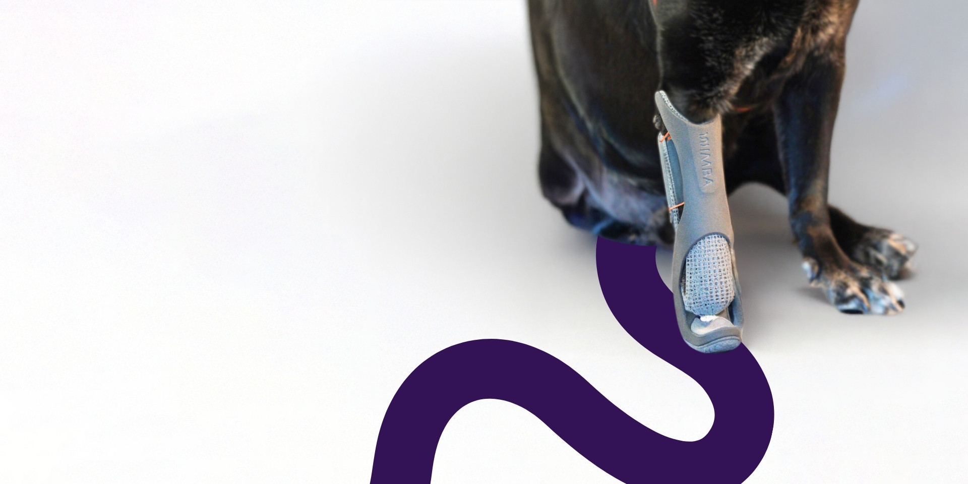 prosthetics for dogs