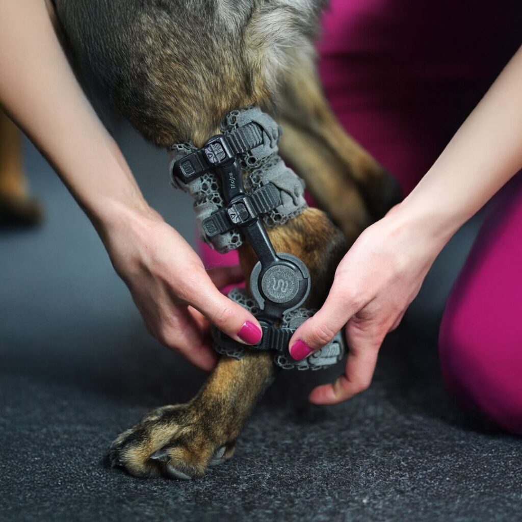 wimba tarsal orthosis go donning