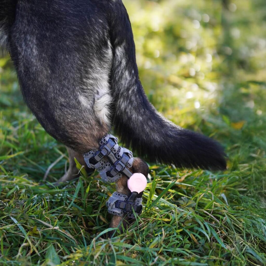 wimba tarsus orthosis go