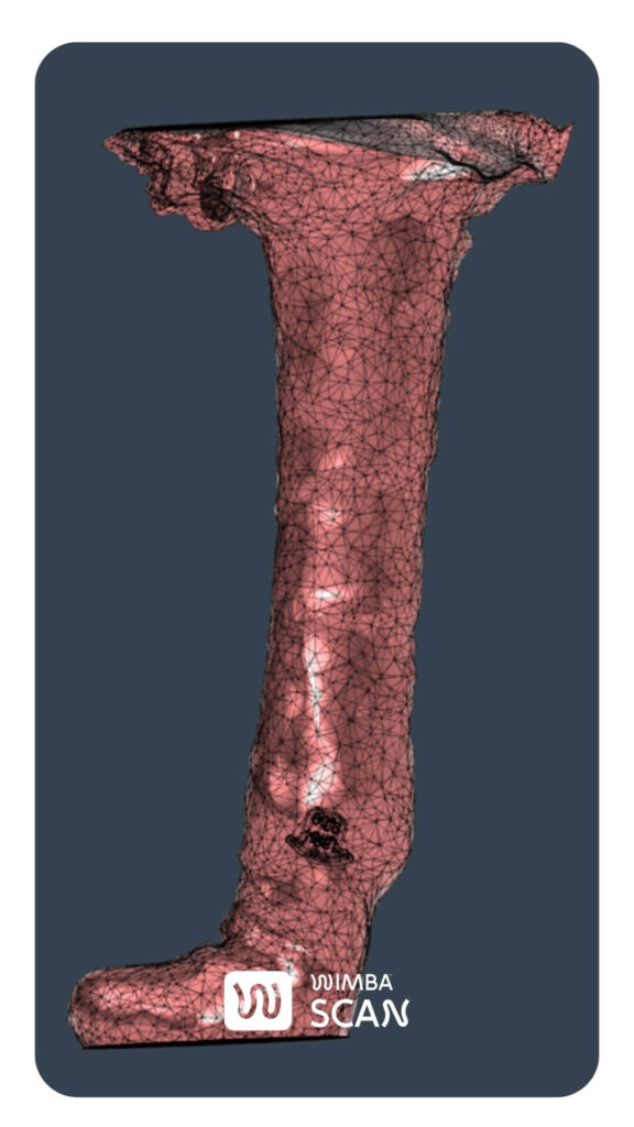 Wimba SCAN 3D, 3d model of the dog's limb
