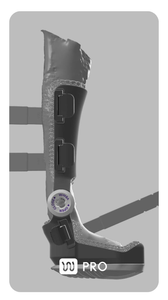 3d scan of the dog's limb