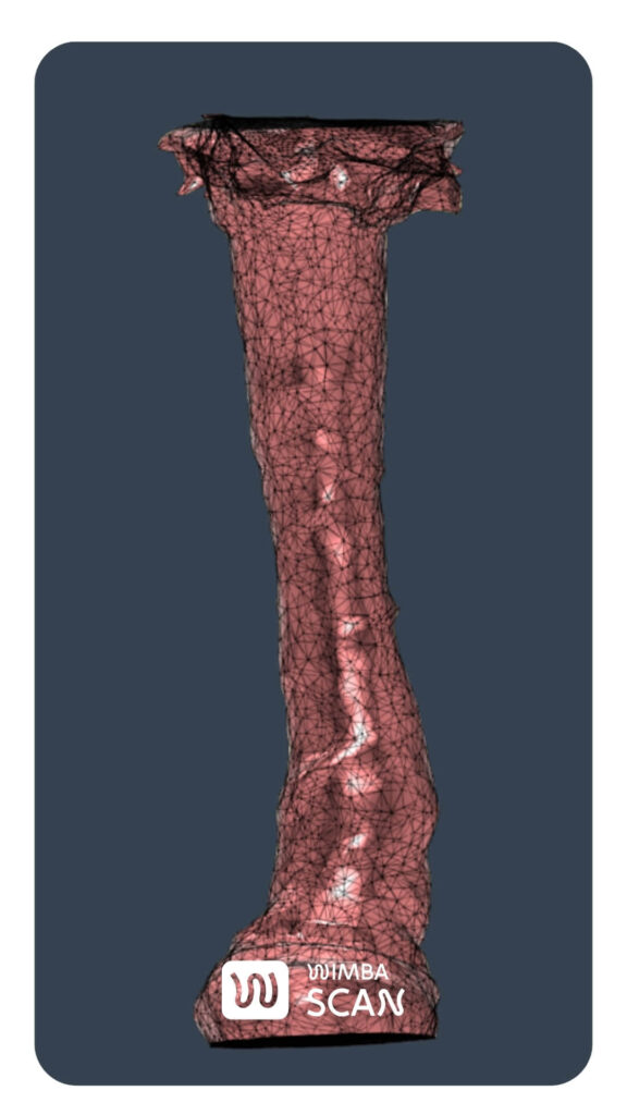 Wimba SCAN 3D, 3d model of the dog's limb