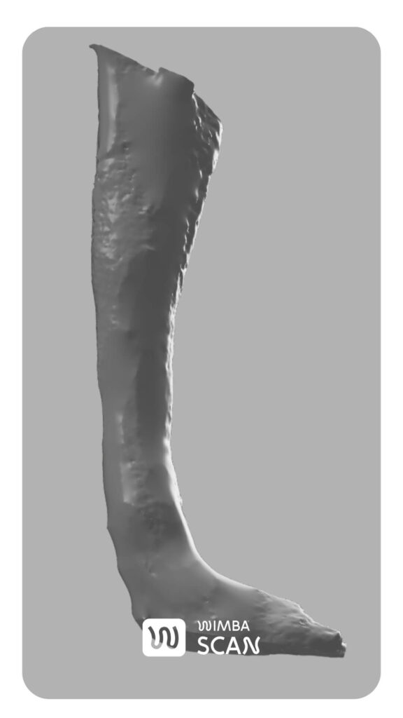 3d scan of the dog's limb