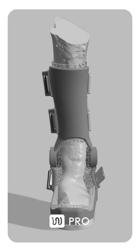 3d scan of the dog's limb