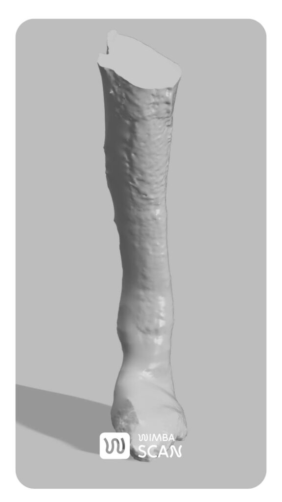 3d scan of the dog's limb