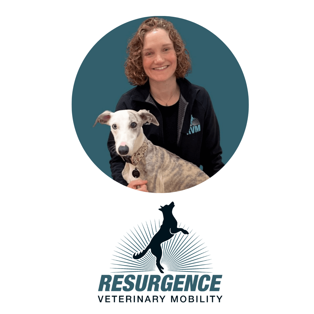 Cara McNamee, DVM, cVMA, CCRT