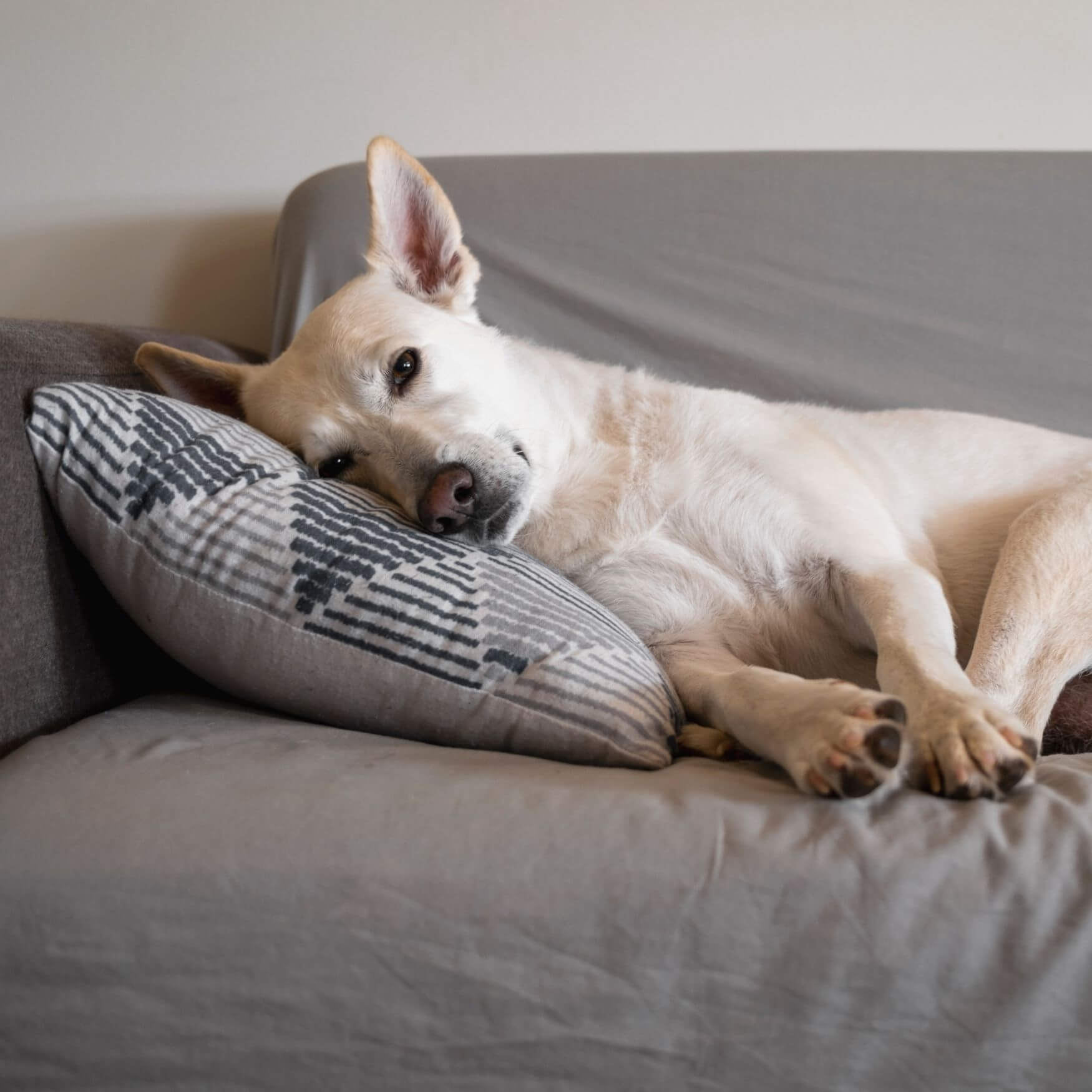 Strict rest and activity restriction