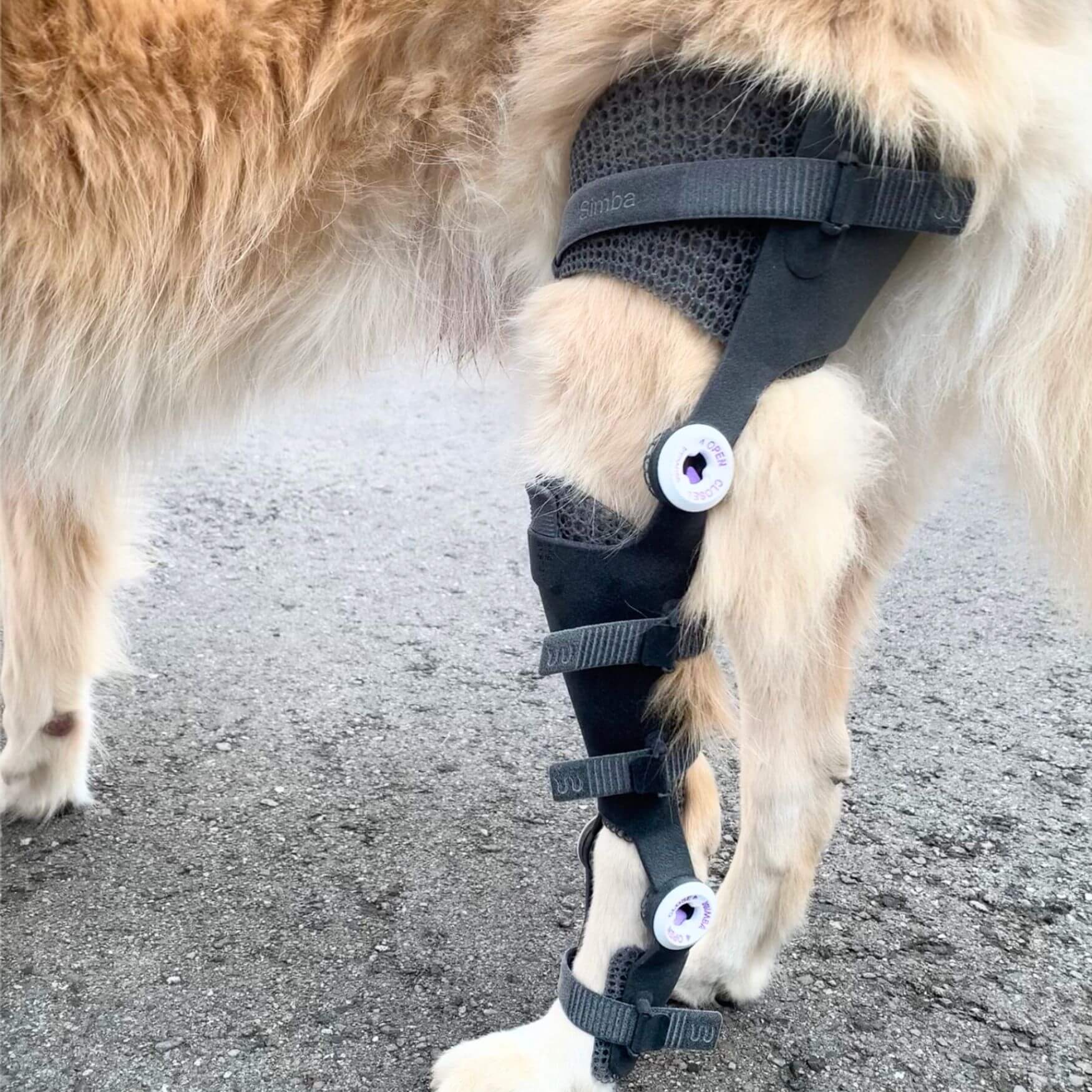 Joint support with custom orthotics