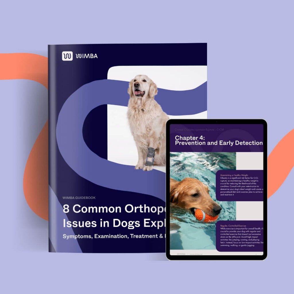 8-Common-Orthopedic-Issues-in-Dogs-Explained