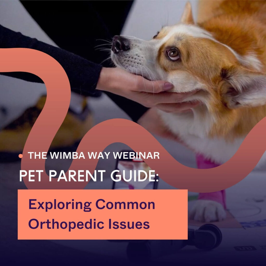 Exploring-Common-Orthopedic-Issues