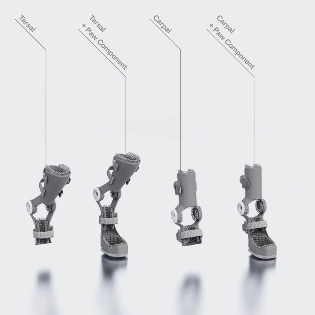 wimba pet orthotics pro