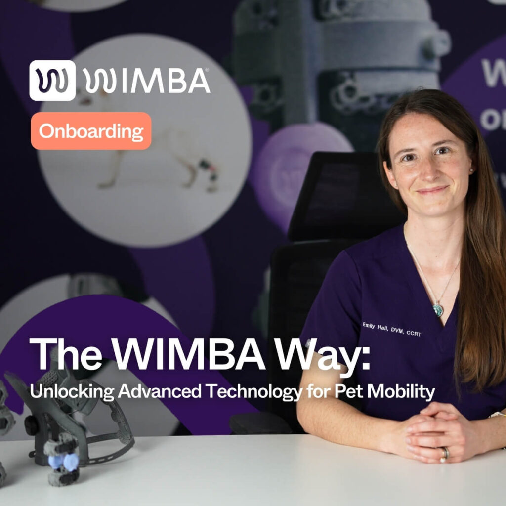 wimba onboarding