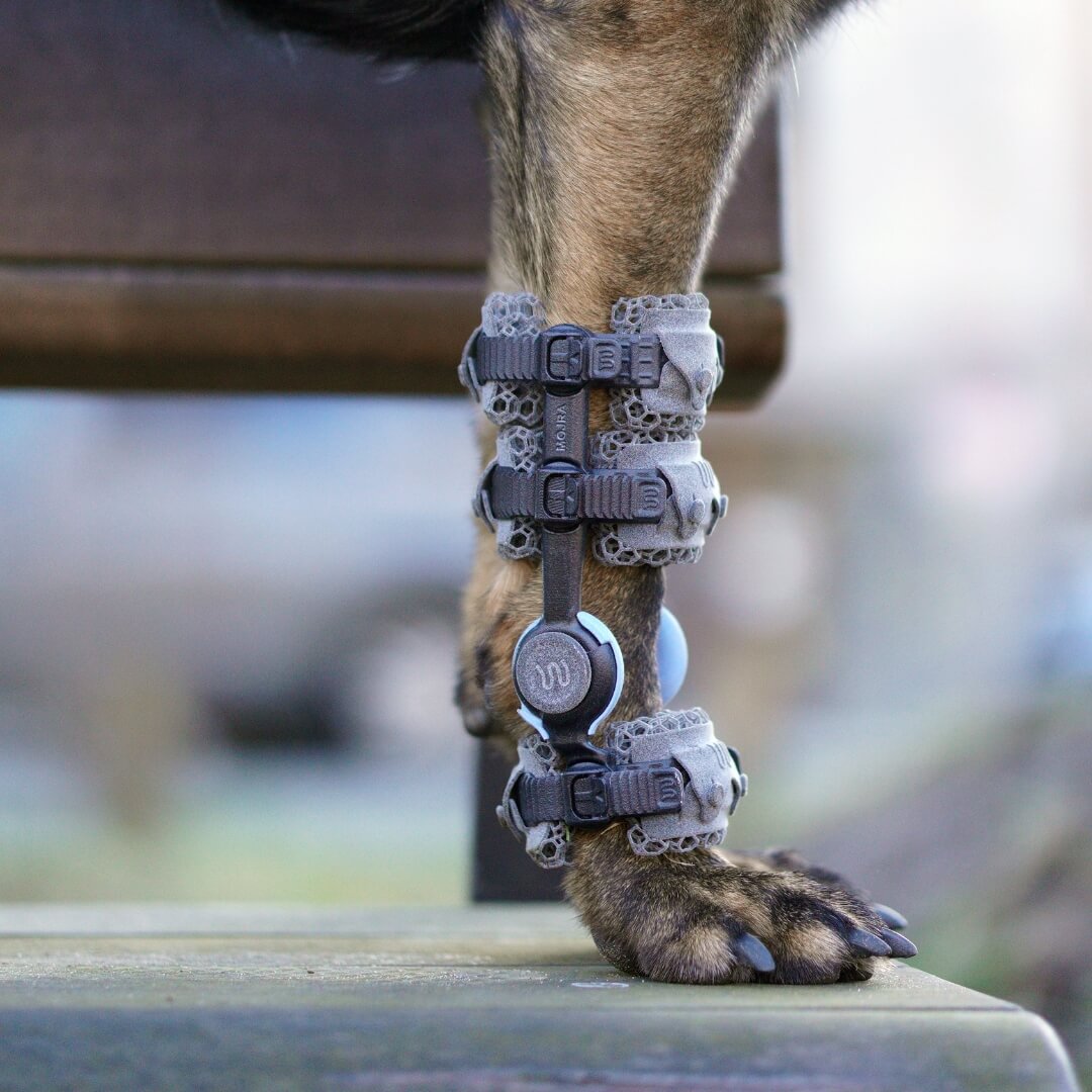 wimba carpus orthosis