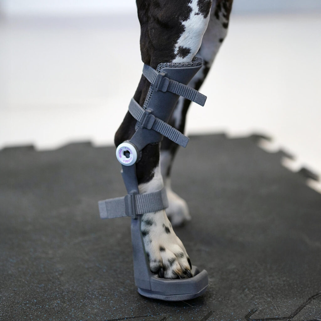 wimba tarsal orthosis pro