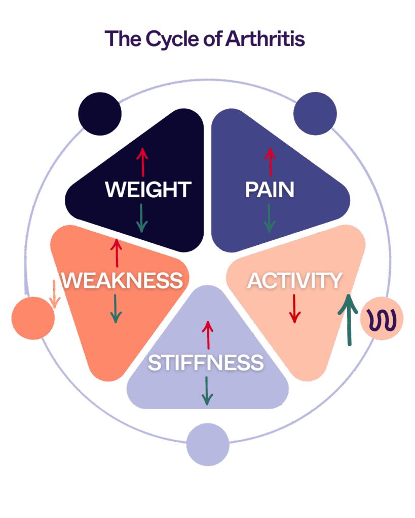 The Cycle of Arthritis