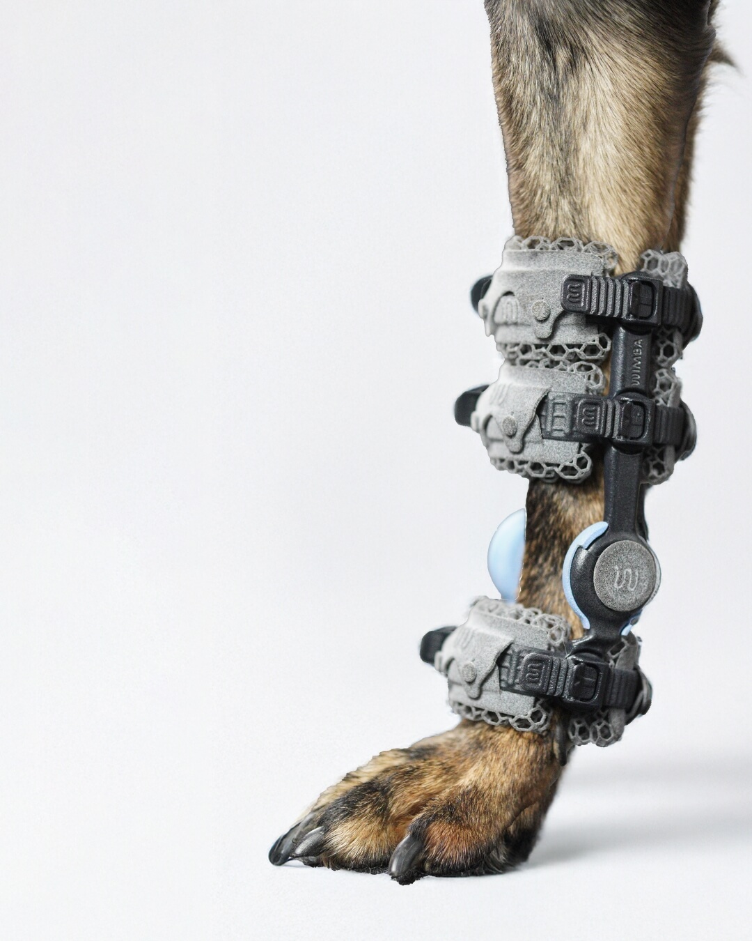 wimba carpus orthosis go